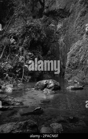 Cascade de la Golondrinas à Cuetzalan Puebla Banque D'Images