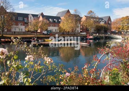 Bassin du canal de Chichester, West Sussex, Angleterre Banque D'Images