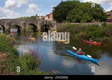 Kayak le long de la rivière Arun au pont médiéval de Pulborough, West Sussex, Angleterre Banque D'Images