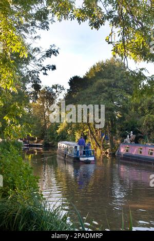 Worcester & Birmingham Canal à Alvechurch Worcestershire, marina Banque D'Images