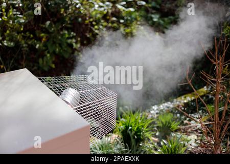 Chaudière à condensation externe alimentée par l'huile Banque D'Images