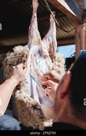 Un latirien méconnaissable qui fait du butchoing et qui fait du skin un agneau suspendu dans sa maison de campagne. Traditions patagoniennes Banque D'Images