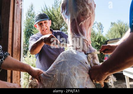 Un latirien méconnaissable qui fait du butchoing et qui fait du skin un agneau suspendu dans sa maison de campagne. Traditions patagoniennes Banque D'Images