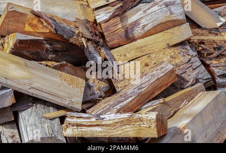 Une pile de rondins d'arbre et de coupes parfaites pour un brûleur à bois, combustible d'hiver, chauffage. Banque D'Images