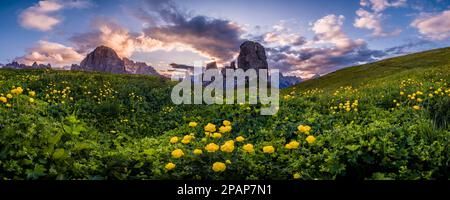 Vue panoramique de la formation rocheuse Cinque Torri, Cinque Torri di Averau, entourée de fleurs jaunes, au lever du soleil. Banque D'Images