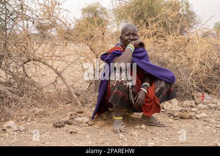 Caratu, Tanzanie - 16 octobre 2022 : portrait d'une femme masai en vêtements et bijoux traditionnels, devant la clôture épine de son village. Banque D'Images