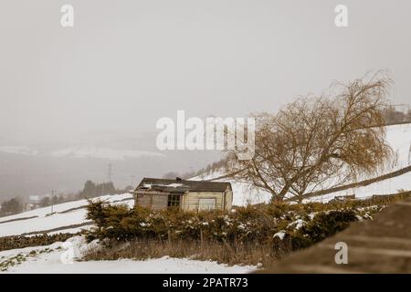 Campagne - Wild Places / Snow Hut dans un endroit isolé - ancienne maison dans le pré. Banque D'Images