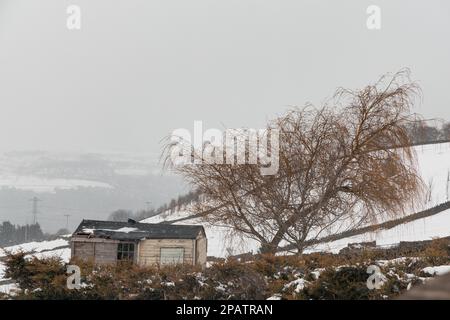 Campagne - Wild Places / Snow Hut dans un endroit isolé - ancienne maison dans le pré. Banque D'Images