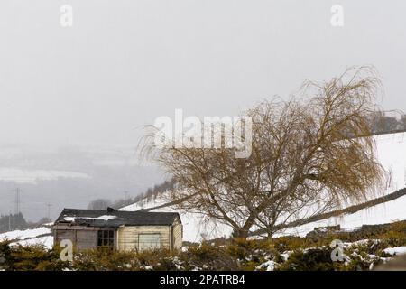 Campagne - Wild Places / Snow Hut dans un endroit isolé - ancienne maison dans le pré. Banque D'Images