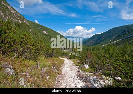 Val Campo di Dentro (Innerfeldt), Sesto (Sexten), Parc naturel de Tre Cime, Trentin-Haut-Adige, Italie Banque D'Images