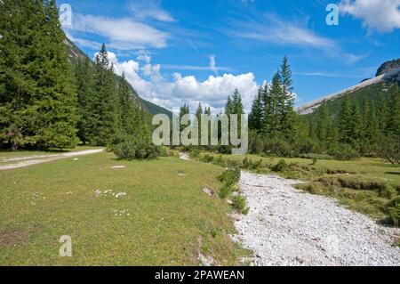 Val Campo di Dentro (Innerfeldt), Sesto (Sexten), Parc naturel de Tre Cime, Trentin-Haut-Adige, Italie Banque D'Images