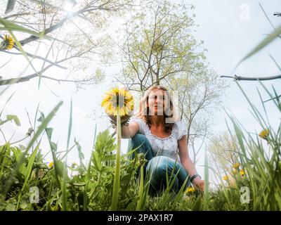 femme cueillant des fleurs de pissenlit jardin sauvage Banque D'Images