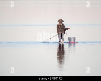 Personne non identifiable pêche au crabe avec une pelle dans l'estuaire, un passe-temps de loisir populaire, Mandurah, Australie occidentale Banque D'Images