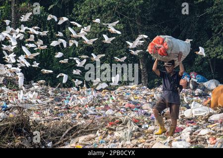 Kendari, Indonésie. 12th mars 2023. Un éliminateur a vu transporter un sac contenant des déchets qu'il a triés pour être vendu à la décharge finale de Kendari puuwatu. Le gouvernement de la ville de Kendari, par l'intermédiaire du Service de l'environnement et des forêts (DLHK), a noté une augmentation de la production de déchets dans la ville de Kendari, atteignant 290 tonnes par jour. ce chiffre a augmenté d'environ 30 tonnes par rapport à l'année précédente. Crédit : SOPA Images Limited/Alamy Live News Banque D'Images