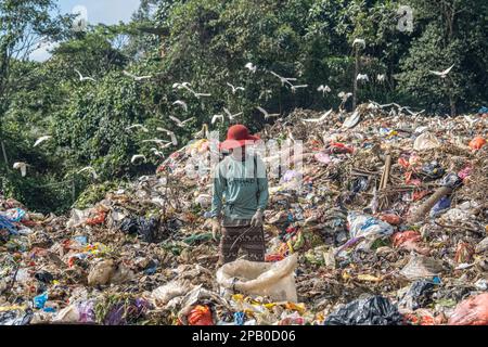 Kendari, Indonésie. 12th mars 2023. Un éliminateur a vu ramasser des déchets qu'il a triés pour être vendu à la décharge finale de Kendari puuwatu. Le gouvernement de la ville de Kendari, par l'intermédiaire du Service de l'environnement et des forêts (DLHK), a noté une augmentation de la production de déchets dans la ville de Kendari, atteignant 290 tonnes par jour. ce chiffre a augmenté d'environ 30 tonnes par rapport à l'année précédente. Crédit : SOPA Images Limited/Alamy Live News Banque D'Images