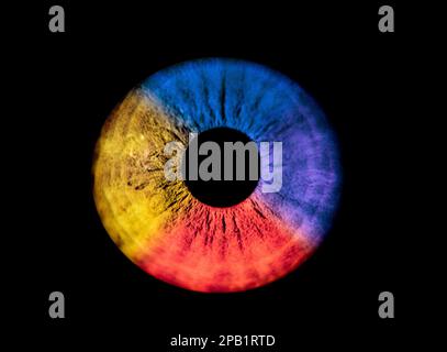 Œil de l'iris bleu, jaune rouge et violet humain. Pupille colorée en macro sur fond noir Banque D'Images