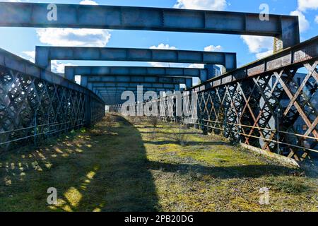 Section désaffecté du Viaduc de Castlefield du parc linéaire surélevé, Castlefield, Manchester, Angleterre, Royaume-Uni Banque D'Images