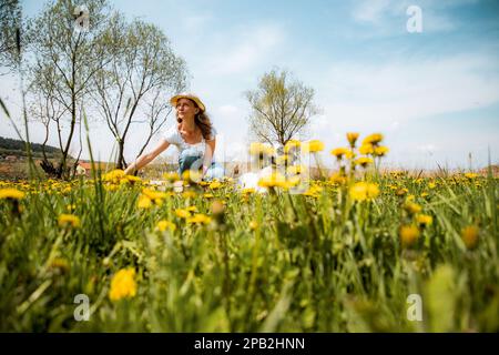 femme cueillant des fleurs de pissenlit jardin sauvage Banque D'Images