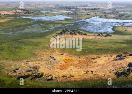 Vue aérienne sur la campagne, les chemins pour animaux, les arbres et les prairies verdoyantes du delta de l'Okavango. Okavango Delta, Botswana, Afrique Banque D'Images