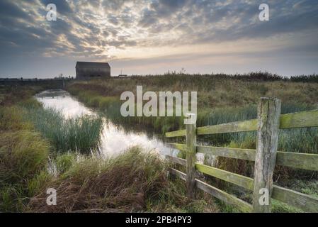 Vue sur la ferme (Rose Cottage) et la clôture de bétail sur l'habitat côtier de marais de pâturage au lever du soleil, marais Elmley N. N. R. North Kent Marshes, île de Banque D'Images