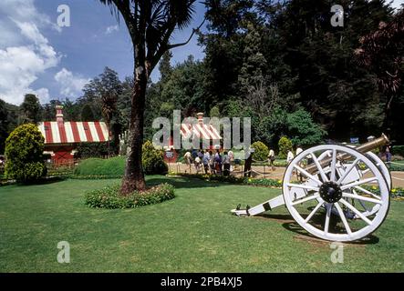 Le jardin botanique du gouvernement à Udhagamandalam Ooty, Nilgiris, Tamil Nadu, Inde du Sud, Inde, Asie Banque D'Images