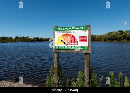 Henley Lake Park à Masterton, en Nouvelle-Zélande, lors d'une journée d'été. Panneau d'avertissement relatif aux algues toxiques réglé sur bas. Avertissement avec informations sur les symptômes Banque D'Images