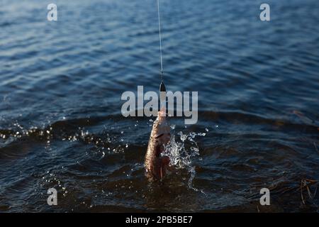 Pêche au poisson sur le crochet dans la rivière.Journée de pêche Banque D'Images