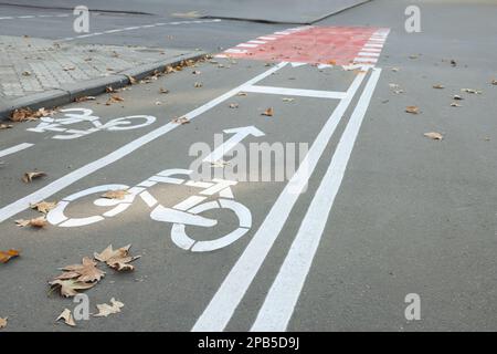 Piste cyclable à deux voies avec panneaux blancs sur l'asphalte Banque D'Images