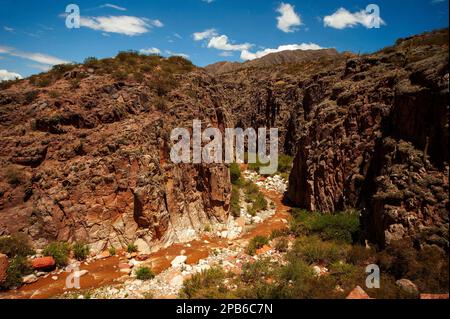 Cuesta de Miranda près de Chilecito vu du pont de combat, avec la rivière Miranda au loin, province de la Rioja, Argentine Banque D'Images