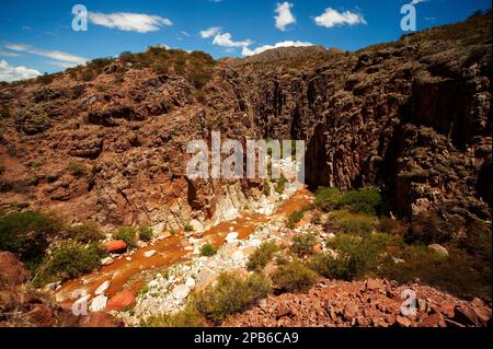 Cuesta de Miranda près de Chilecito vu du pont de combat, avec la rivière Miranda au loin, province de la Rioja, Argentine Banque D'Images