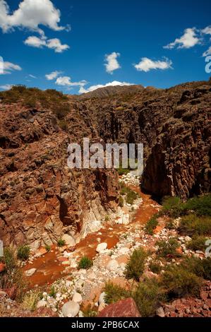 Cuesta de Miranda près de Chilecito vu du pont de combat, avec la rivière Miranda au loin, province de la Rioja, Argentine Banque D'Images