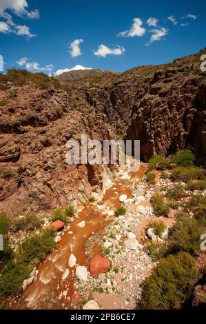 Cuesta de Miranda près de Chilecito vu du pont de combat, avec la rivière Miranda au loin, province de la Rioja, Argentine Banque D'Images