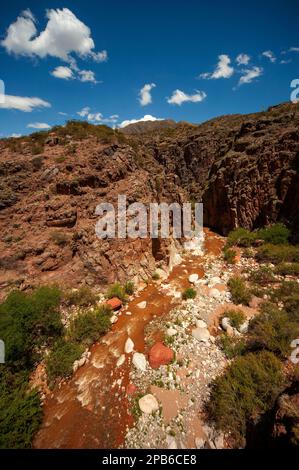 Cuesta de Miranda près de Chilecito vu du pont de combat, avec la rivière Miranda au loin, province de la Rioja, Argentine Banque D'Images