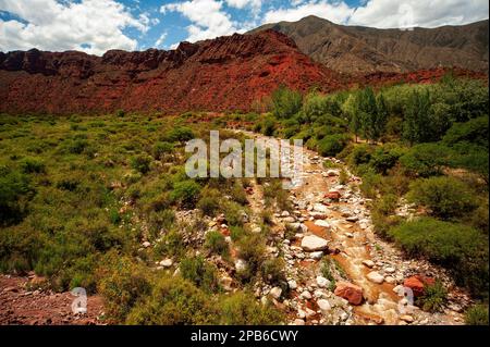 Cuesta de Miranda près de Chilecito vu du pont de combat, avec la rivière Miranda au loin, province de la Rioja, Argentine Banque D'Images