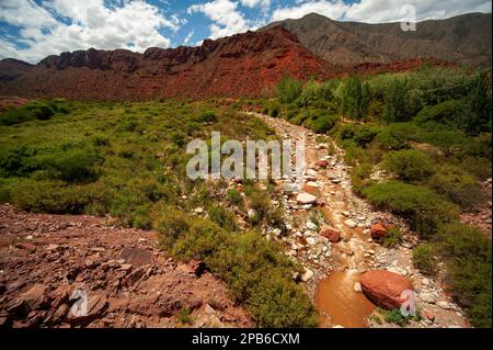 Cuesta de Miranda près de Chilecito vu du pont de combat, avec la rivière Miranda au loin, province de la Rioja, Argentine Banque D'Images