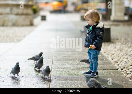 Un petit garçon mignon nourrissant des pigeons dans la rue étroite de Bergame. Petit enfant s'amusant à explorer à Citta Alta, quartier supérieur de Bergame. Bergame, LOM Banque D'Images