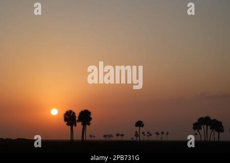 Paysage, paysage, lever du soleil, pendant le Prologue du Championnat du monde d'endurance de la FIA 2023, de 11 mars à 12, 2023 sur le circuit international de Sebring à Sebring, Floride, Etats-Unis - photo Frédéric le Floc'h / DPPI Banque D'Images