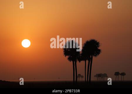 Paysage, paysage, lever du soleil, pendant le Prologue du Championnat du monde d'endurance de la FIA 2023, de 11 mars à 12, 2023 sur le circuit international de Sebring à Sebring, Floride, Etats-Unis - photo Frédéric le Floc'h / DPPI Banque D'Images