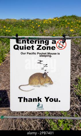 Signez pour l'espèce animale en voie de disparition la souris de poche du Pacifique dans la zone de conservation des Headlands de Dana point, dans le sud de la Californie Banque D'Images