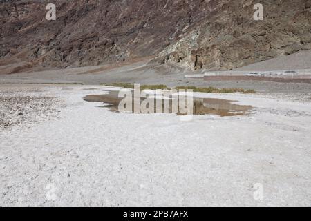 Une piscine d'eau au chlorure de sodium sur les plans d'eau de la vallée du lac Badwater, parc national de la Vallée de la mort, Californie, États-Unis Banque D'Images