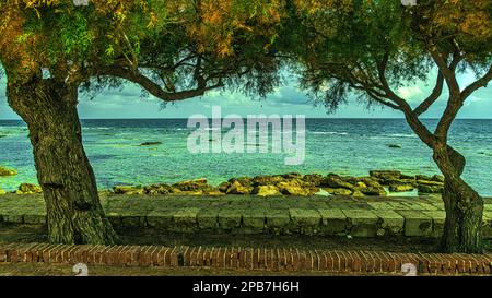 Un aperçu de la mer en face du village côtier sicilien caractéristique de Marzamemi avec deux pins maritimes comme cadre. Marzameni, Syracuse Banque D'Images