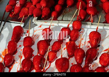 brochettes de grandes fraises rouges mûres caramélisées avec sucre sur le dessus pour la vente dans la caniculture Banque D'Images