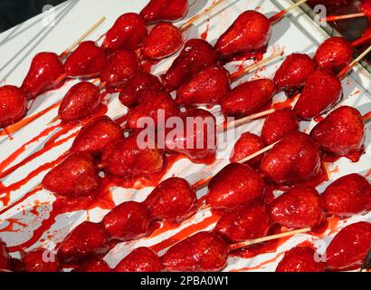 brochettes de grandes fraises rouges mûres caramélisées avec sucre sur le dessus pour la vente dans la caniculture Banque D'Images