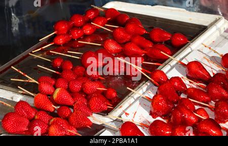 brochettes de grandes fraises rouges mûres caramélisées avec sucre sur le dessus pour la vente dans la caniculture Banque D'Images