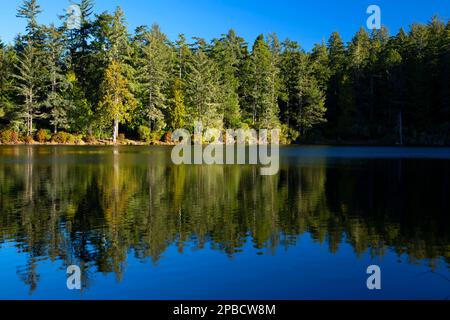 Lac Marie, parc national du phare de la rivière Umpqua, Oregon Banque D'Images