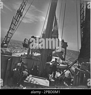 Pont du HMAS Wyatt EARP. Le 26 décembre 1947, un petit bateau à moteur à coque en bois, non-exposant, part de Hobart pour l'Antarctique. Le voyage serait le premier à opérer sous la bannière de l'expédition nationale australienne de recherche sur l'Antarctique (ANARE), une série d'initiatives d'après-guerre visant à établir des stations de recherche scientifique australiennes en Antarctique et dans les territoires sous-antarctiques de Heard Island et de Macquarie Island. Banque D'Images