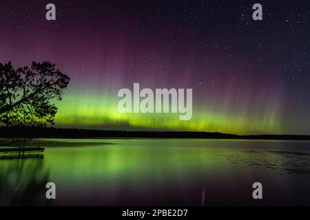 Les aurores boréales éclatent dans un ciel lumineux d'aurores au-dessus du lac du Nord du Minnesota Banque D'Images