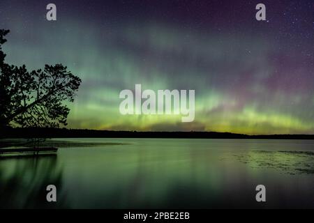 Les aurores boréales éclatent dans un ciel lumineux d'aurores au-dessus du lac du Nord du Minnesota Banque D'Images