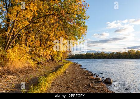 Couleurs d'automne sur le Mississippi près de Minneapolis montrant les effets du changement climatique sur les niveaux inférieurs des rivières Banque D'Images