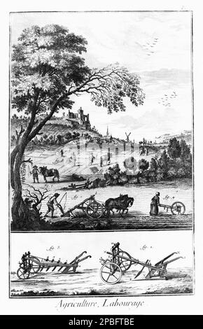 Page d'ENCYCLOPÉDIE ( 151 - 1772 ) , l'imprimé montre le labour et la plantation dans un cadre de ferme, montre également une vue d'une herse et d'une charrue ( voix : Agriculture , travail ). L'œuvre a été tirée du célèbre philosophe français DENIS DIDEROT ( 1713 - 1784 ) et de Jean le rond d'Alembert ( 1717 - 1783 ) avec Pierre Mouchon ( 1733 - 1797 ). Diderot était une figure importante pendant les Lumières, sa contribution majeure aux Lumières étant l' Encyclopédie . Diderot a également contribué à la littérature, notamment avec Jacques le fataliste et son maître ( Jacques le Fataliste et son Maître ), whi Banque D'Images